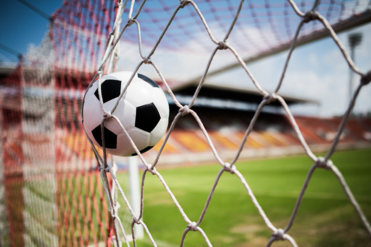 Suspendisse et auctor nisl. Vestibulum in ipsum tortor